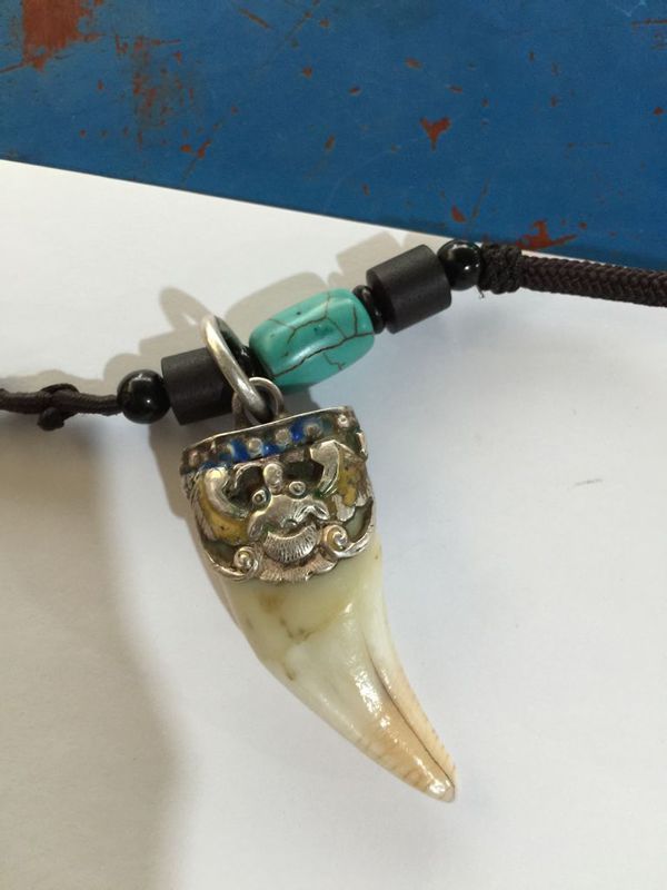 是不是带上虎牙,所有狗都怕带虎牙之人?谢谢!