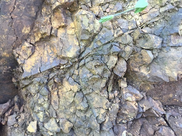 在云南地质勘察中遇到一小片基岩出露,强风化,详见附图,里面夹一些