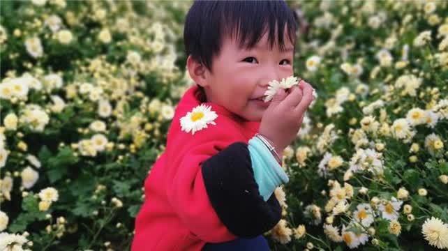 [图]采菊东篱下,悠然见南山