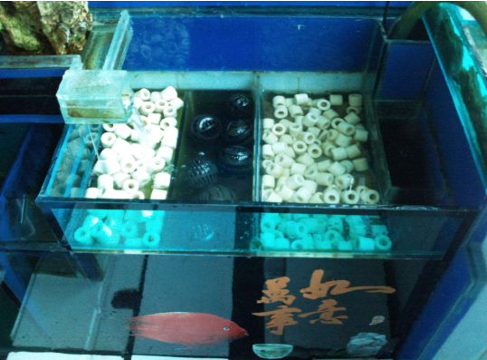 养鱼用的活性炭能用多长时间 360问答