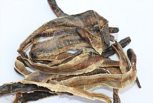 毒性早年日本报