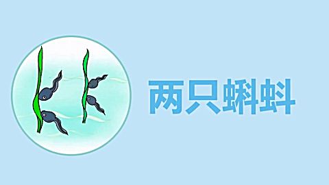 视频课:每天5 分钟,妈妈学会教拼音 第16集声母k:小蝌蚪变大青蛙,牢记