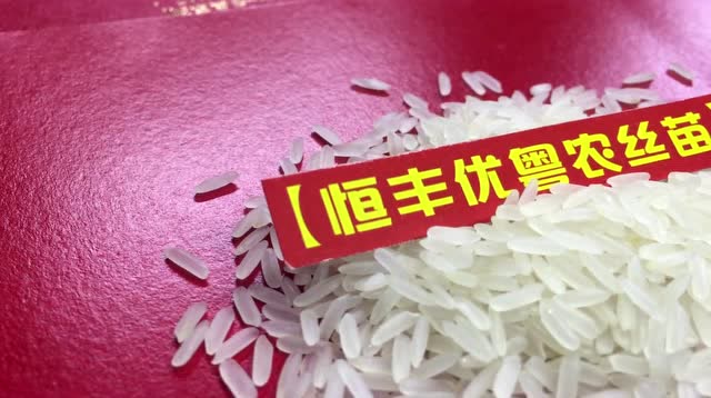 【国民 优质稻】恒丰优粤农丝苗