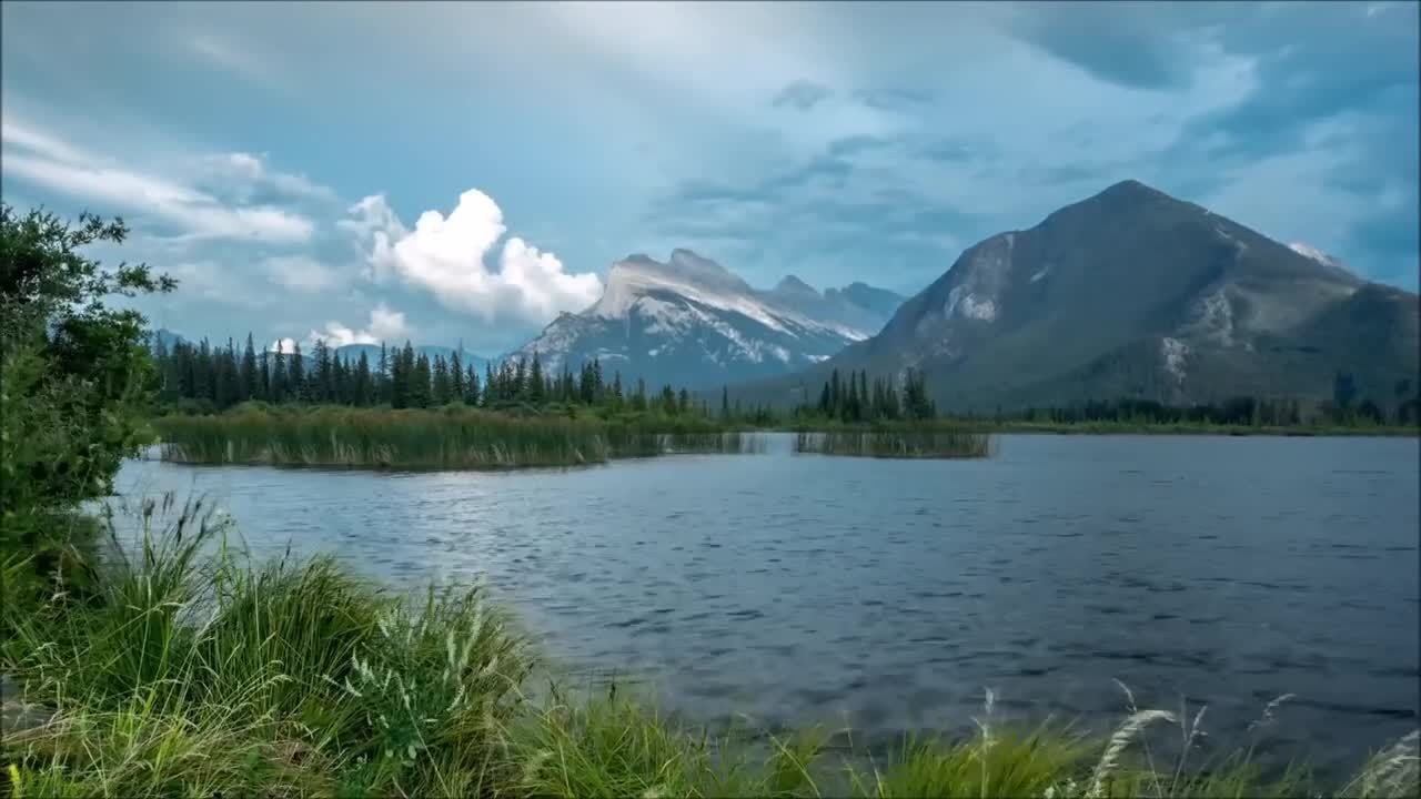 绿袖子 英国民谣