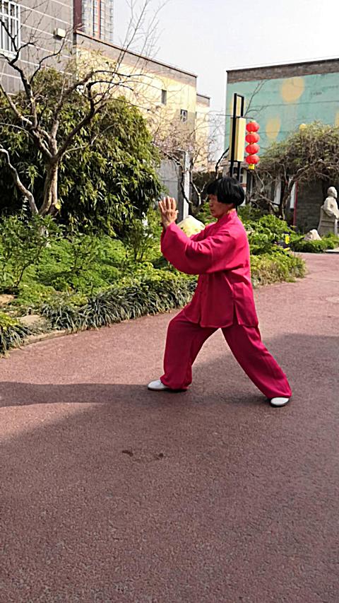 扎西大師弟子黃俊池先生演練楊氏85式太極拳