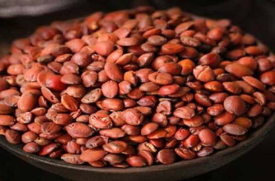 扩展资料: 注意事项: 红枣仁是将成熟的红枣去皮去肉,收集种子,在阳光