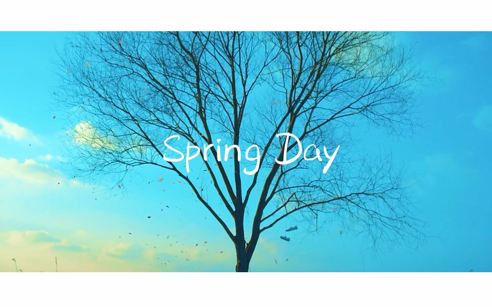 【防弹少年团/中文填词翻唱】spring day