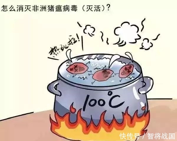 非洲非洲猪瘟疫情现状