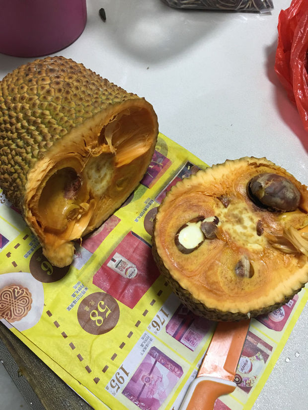榴莲蜜是这个样吗?感觉味道很差,是不是坏了?