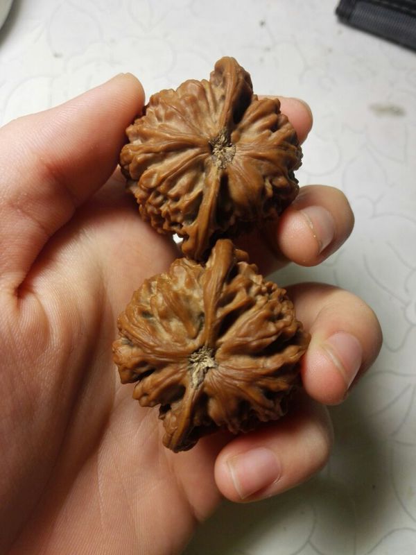 文玩核桃的皮怎么是褐色的,什么原因,能改吗?