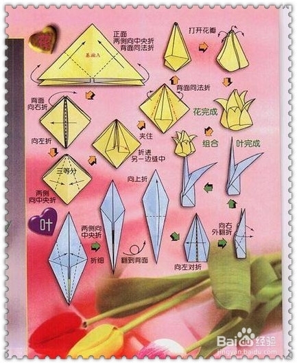 怎样用纸折郁金香
