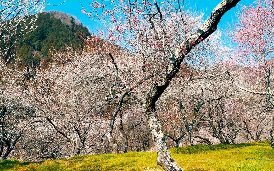 360影视 影视搜索 360影视 影视搜索