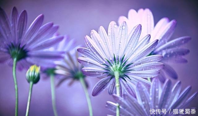 没有没有的句子