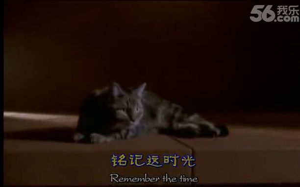 [图]迈克尔杰克逊 Remember.the.time MV 中英字幕