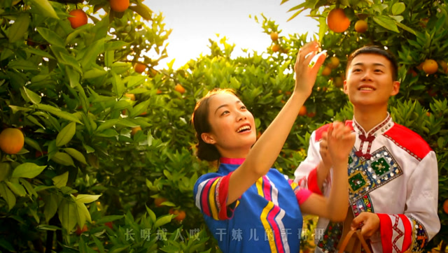 土家族民歌《柑子树》 唱得峡江桔子红