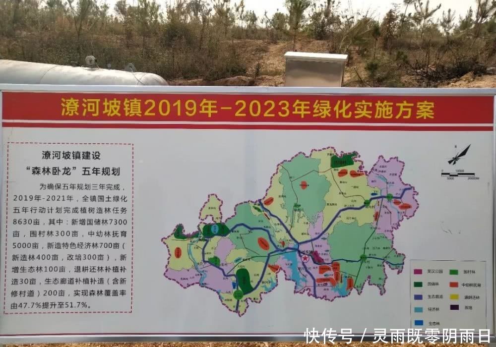 2019主要工作情况