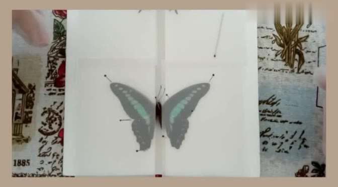 360影视 影视搜索 360影视 影视搜索