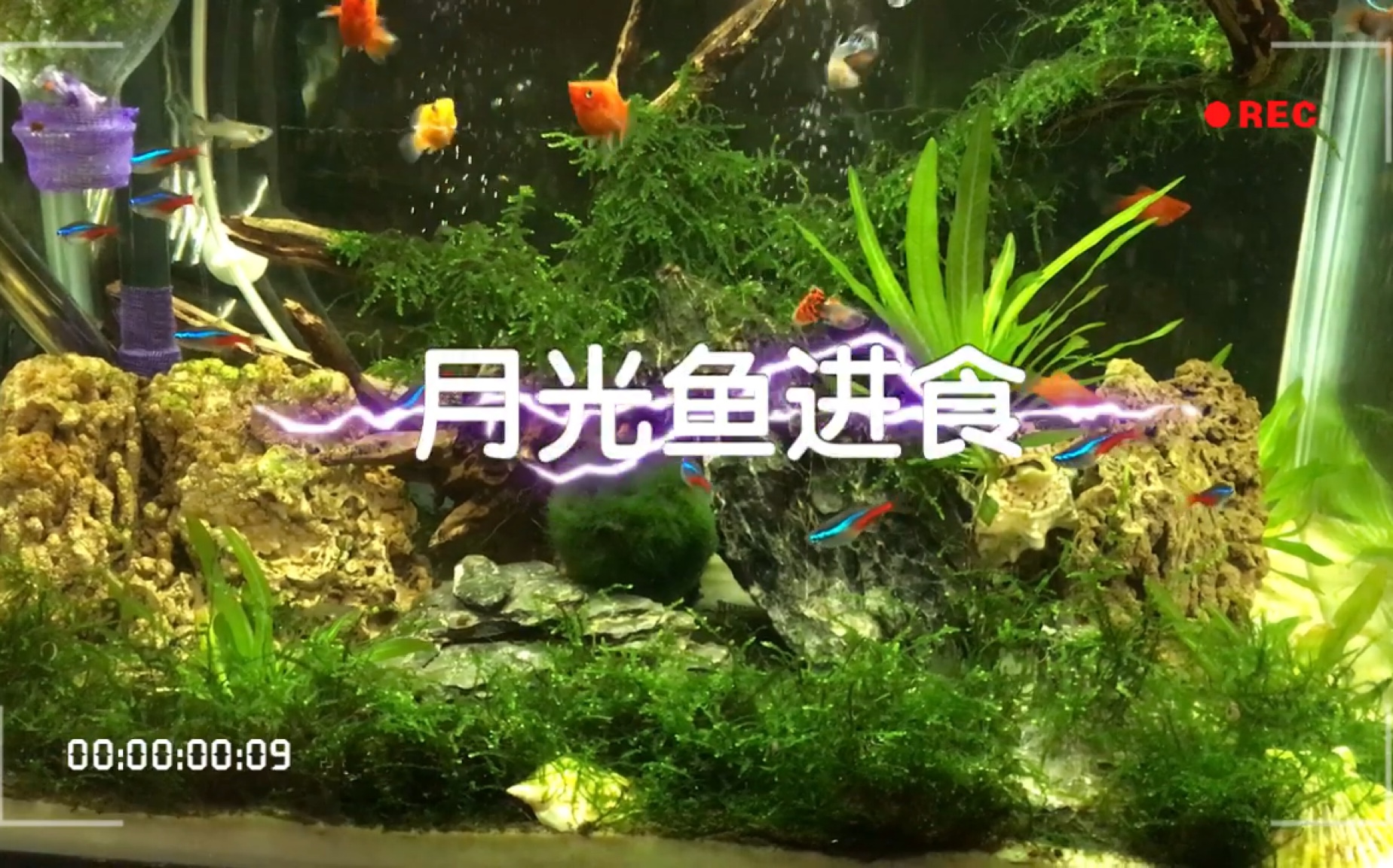 360影视 影视搜索 360影视 影视搜索