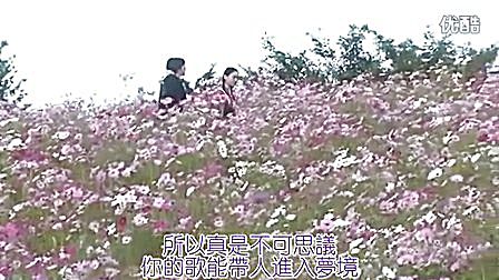 360影视 影视搜索