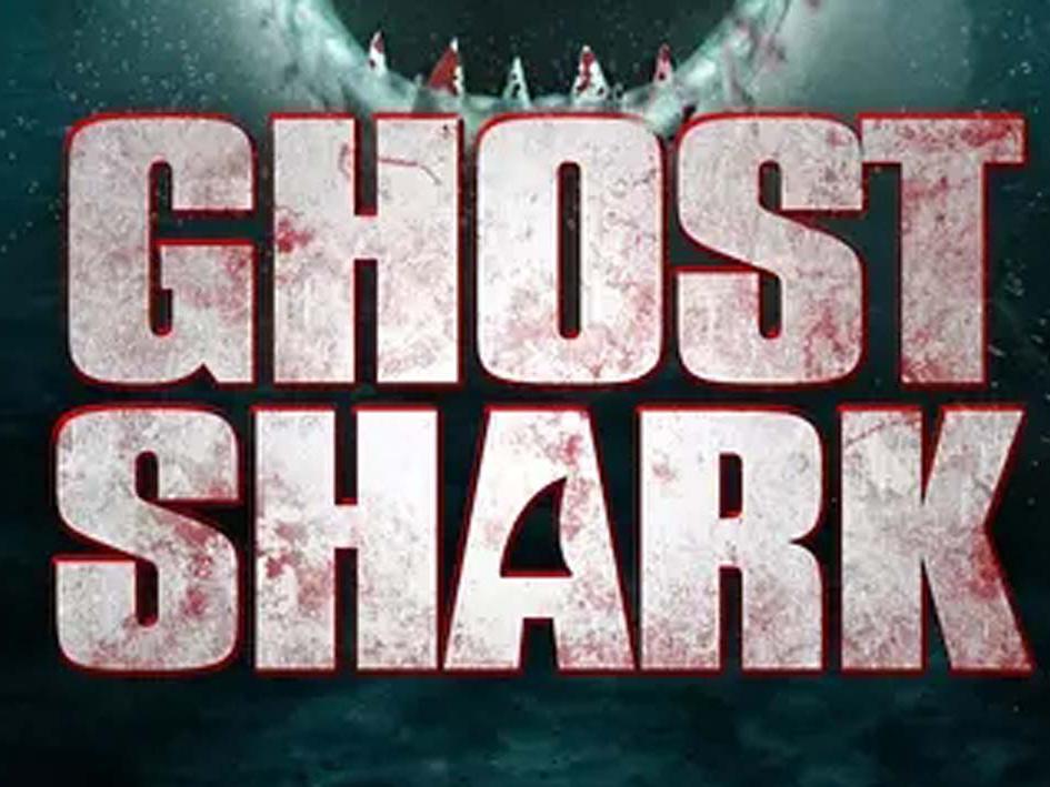 一分钟了解 b>鬼鲨 /b>
