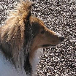 烧到一千度的铁球放到打火机堆里会发生什么?