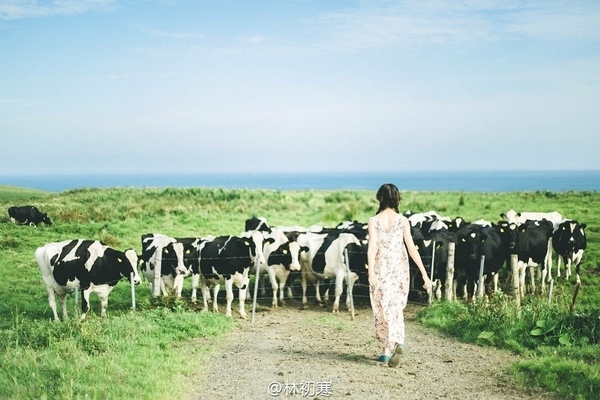 PS如何调出阳光大方的林初寒风格照片?