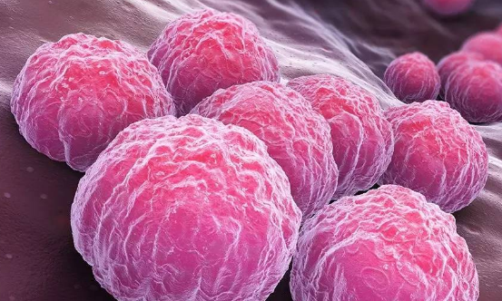 十种常见的微生物有哪些?