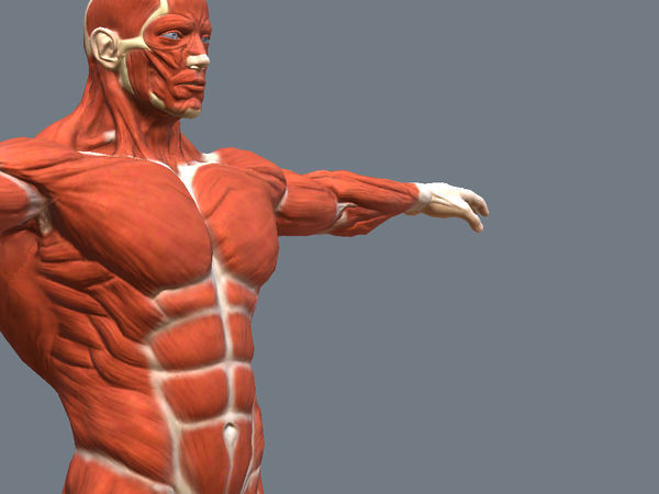 这款游戏叫什么?