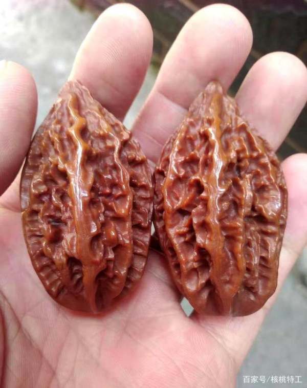 文玩秋子核桃_360问答