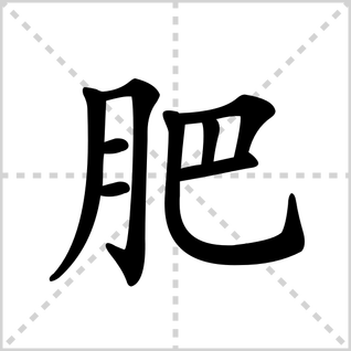 肥的笔顺怎么写
