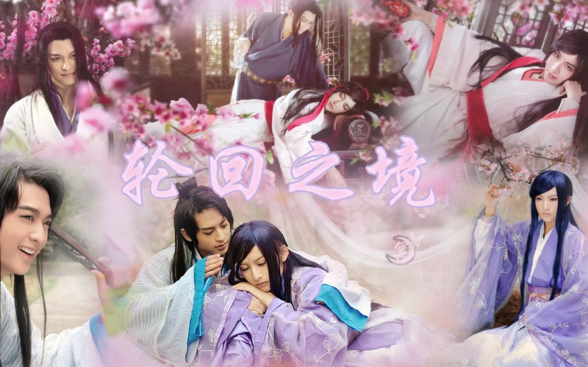 轮回之境-critty(当年的桃花债,后来的逐浪飞花~感觉很合适这首吖~)