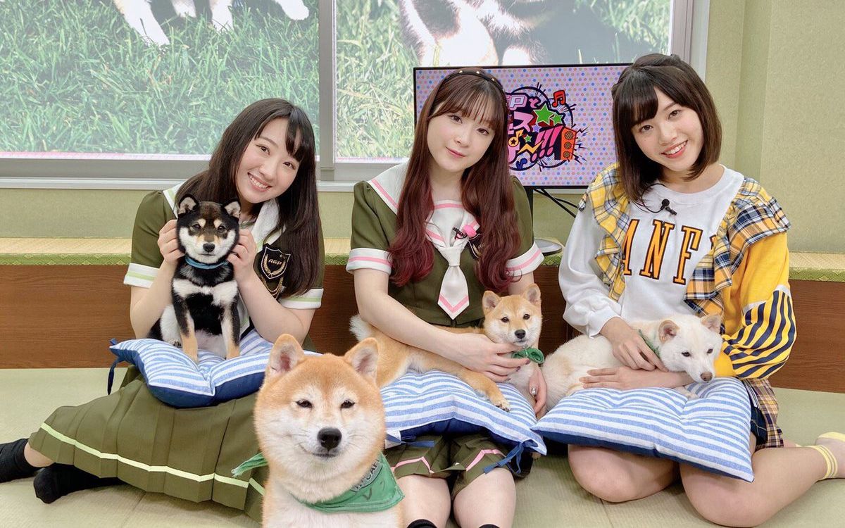 360影视 影视搜索 360影视 影视搜索