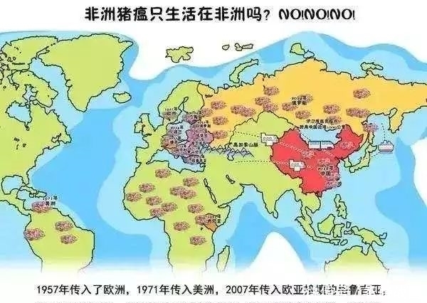 非洲非洲猪瘟疫情现状