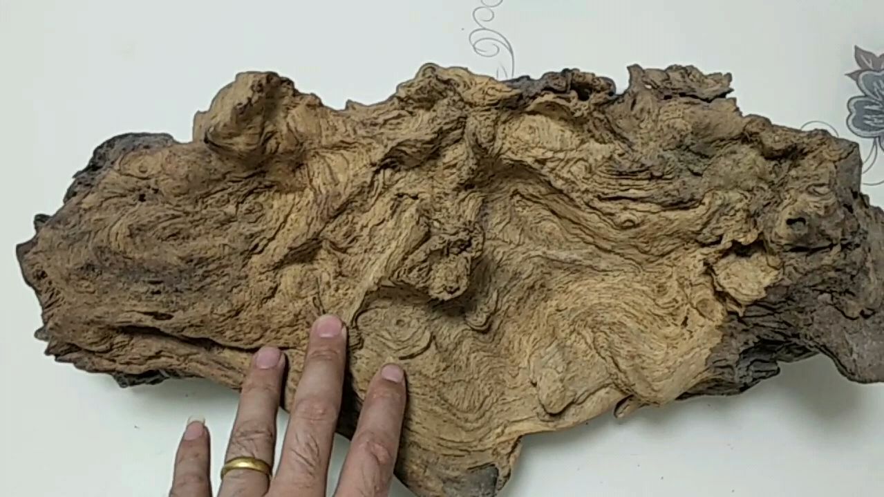 360影视 影视搜索 360影视 影视搜索