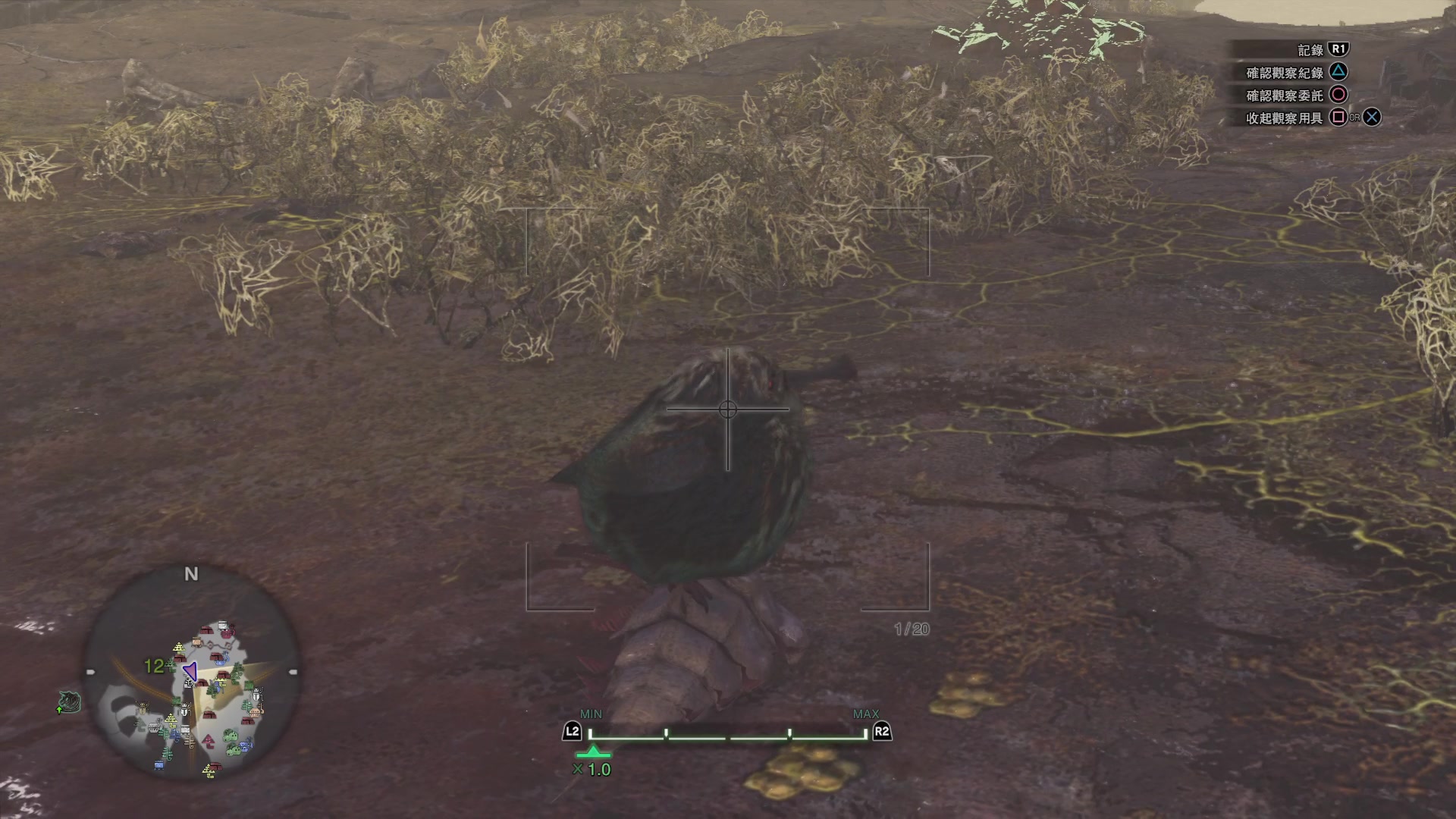 Mhw 環境生物任務monster Kelp