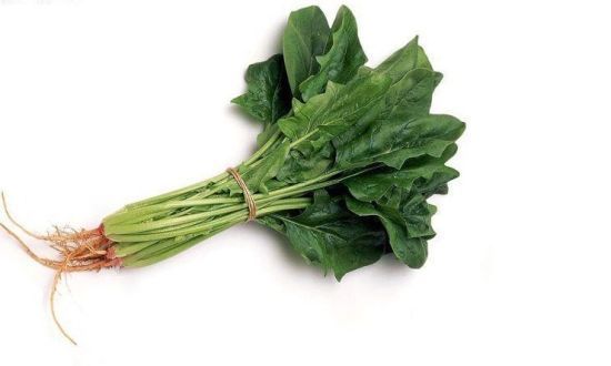 菠菜是什么样子图片