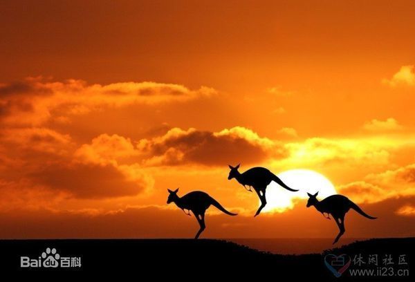 什么动物跑的快又有积极向上的意思?适合代表