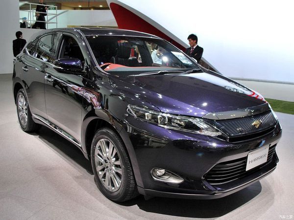 车标是只金鸟是什么车