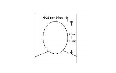 相片尺寸:小二寸(48mm×33mm),頭部寬度為21mm～24mm,頭部長度為28mm