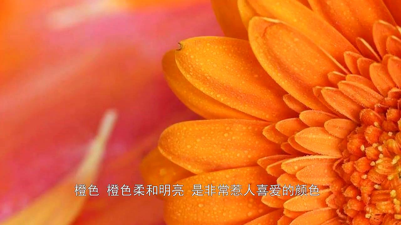 360影视 影视搜索