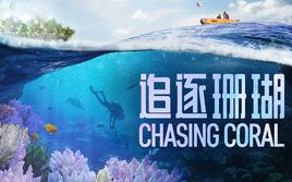 [图][纪录片/Netflix] 追逐珊瑚 Chasing Coral 2017 [1080p][中英字幕]