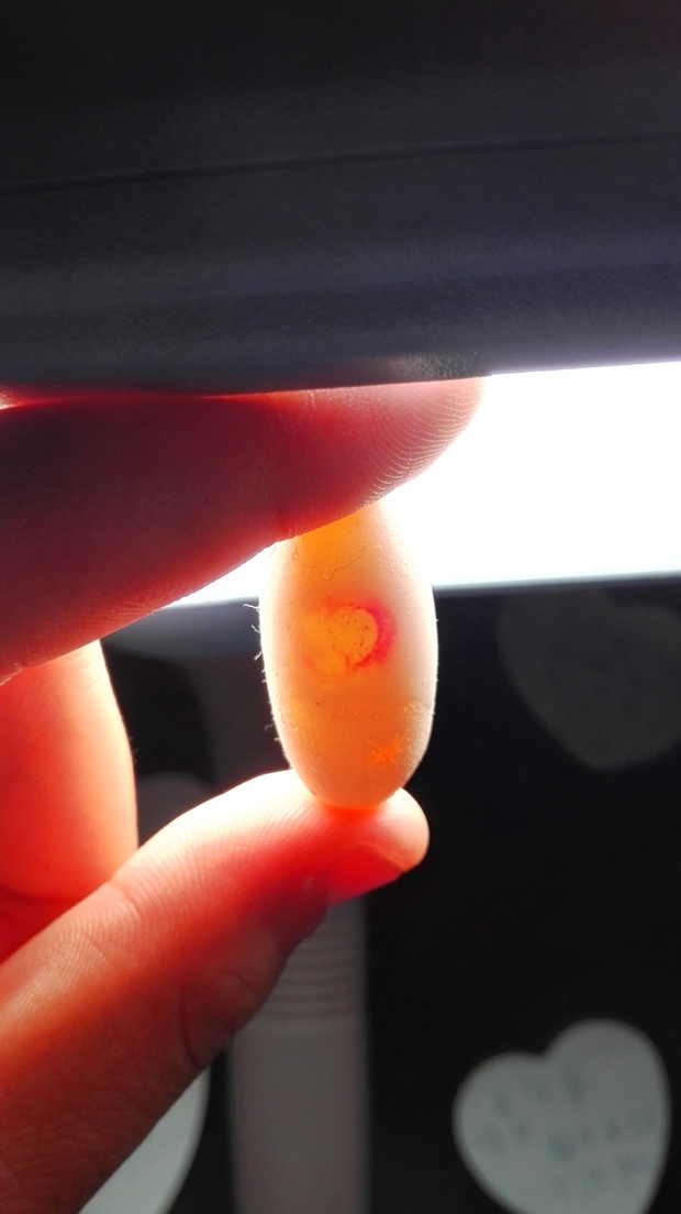我用灯照的时候看见蜥蜴蛋里面有一处有像血一样的东西,这算是还活着
