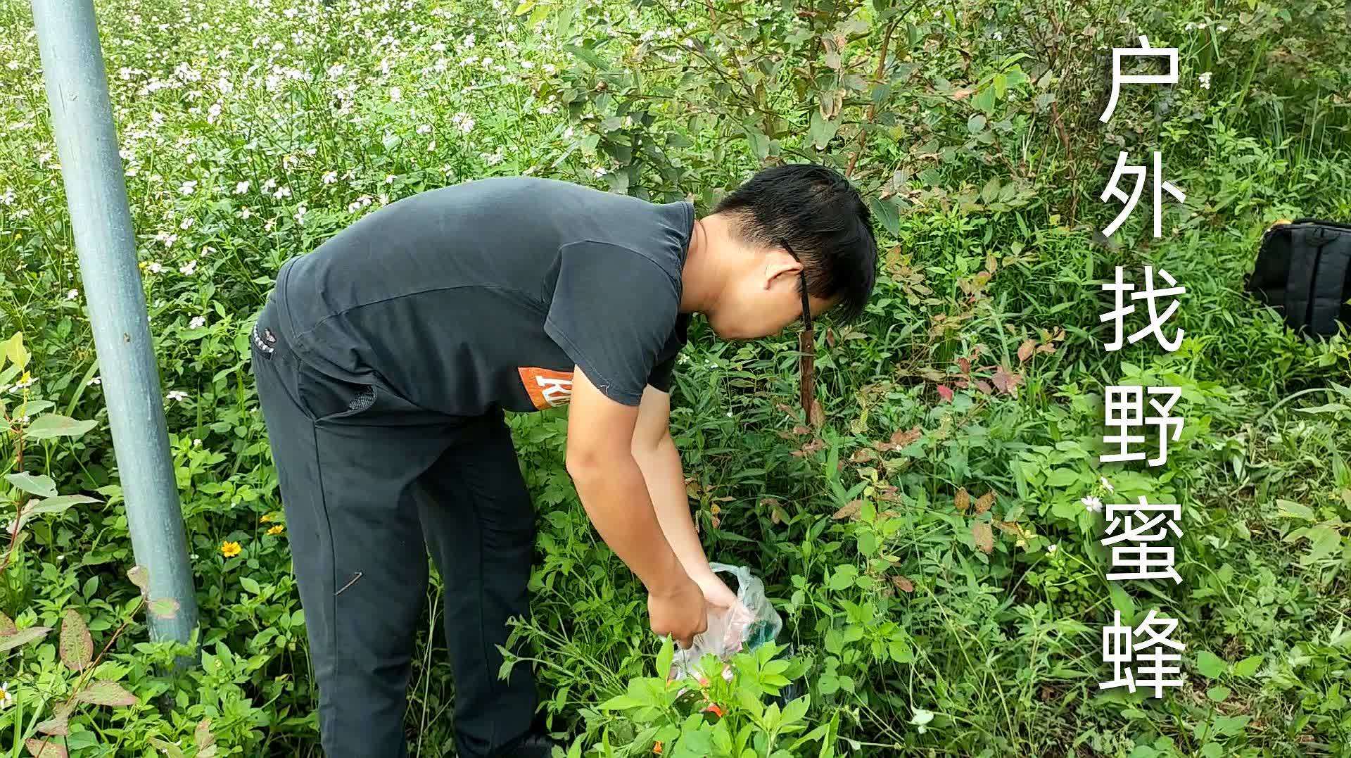 1b4adr9bjvp1em 1b4adr9bjvp1em