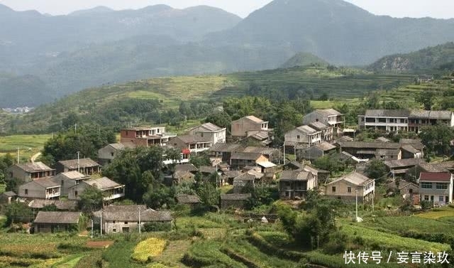 2020年农业农村工作