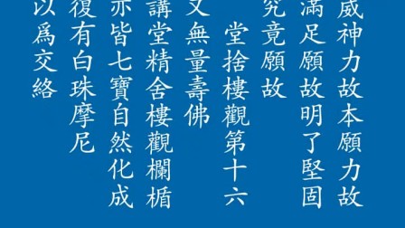 《大乘无量寿经》读诵(60分钟玉佛版)