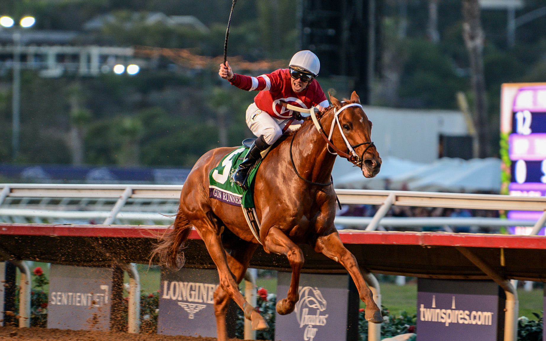 赛马】2017 育马者杯经典大赛 gun runner(铤而走险)