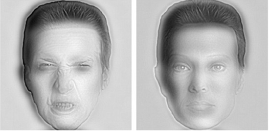 视觉后像: 盯着灯泡看三十秒种以上,尽力不要移动目光.