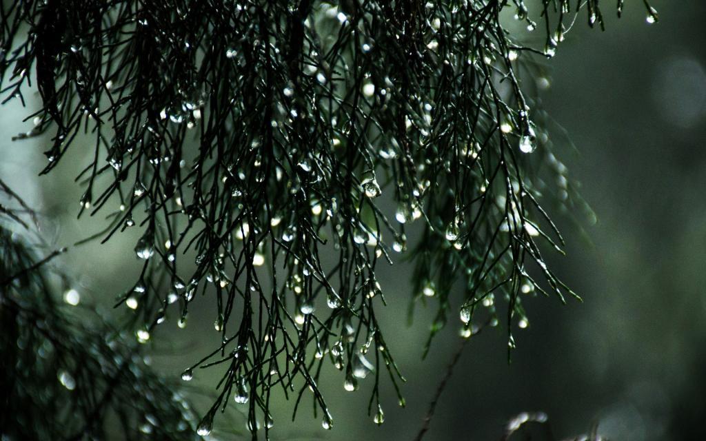 孤独雨景电脑壁纸[图7]