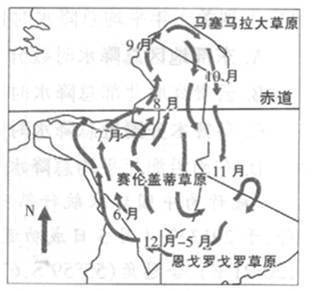 非洲稀树草原的具体位置和草原上角马迁徙路线