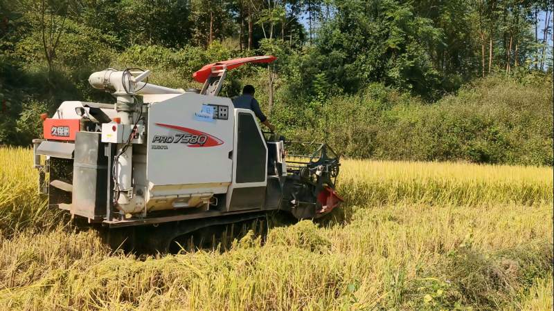 久保田758 收割机,割稻谷的速度太快了,割完一块田只用3分钟